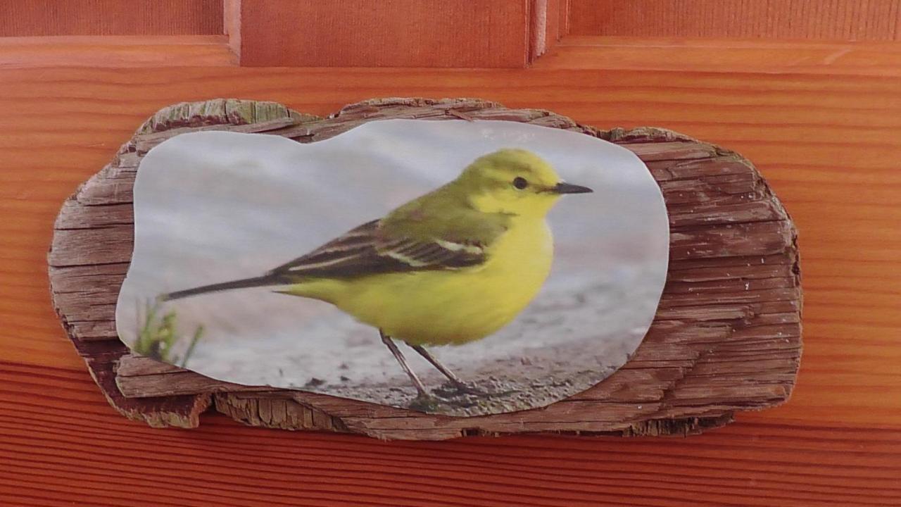 Dinnet Wagtail Lodge מראה חיצוני תמונה
